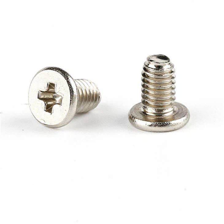 316 Stainless Steel Phillips Flat Small Screw
