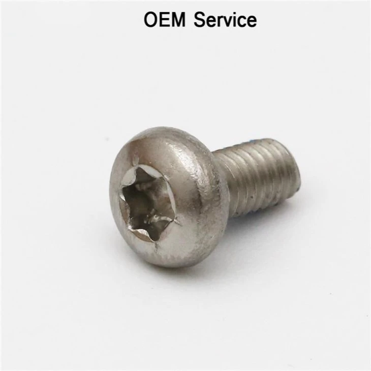 Galvanized Steel Screws Torx Pan Head Screw