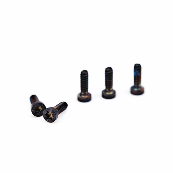 Micro Screw Manufacturer Mini Torx Screw